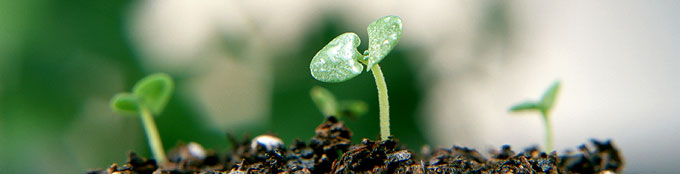 事業内容　ACTIVITIES