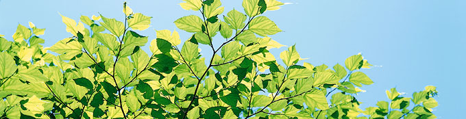 お問い合わせ　CONTACT