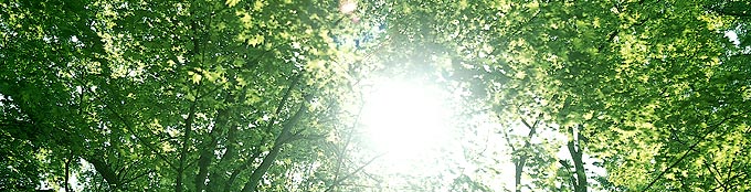 会社概要　OUTLINE